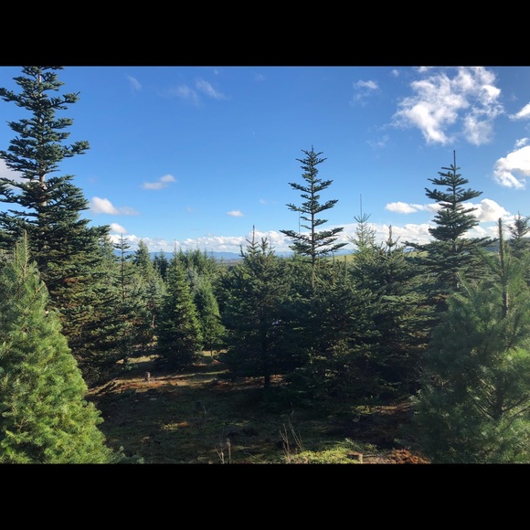 Meet your Posher, Rica - Picture 1 of 1